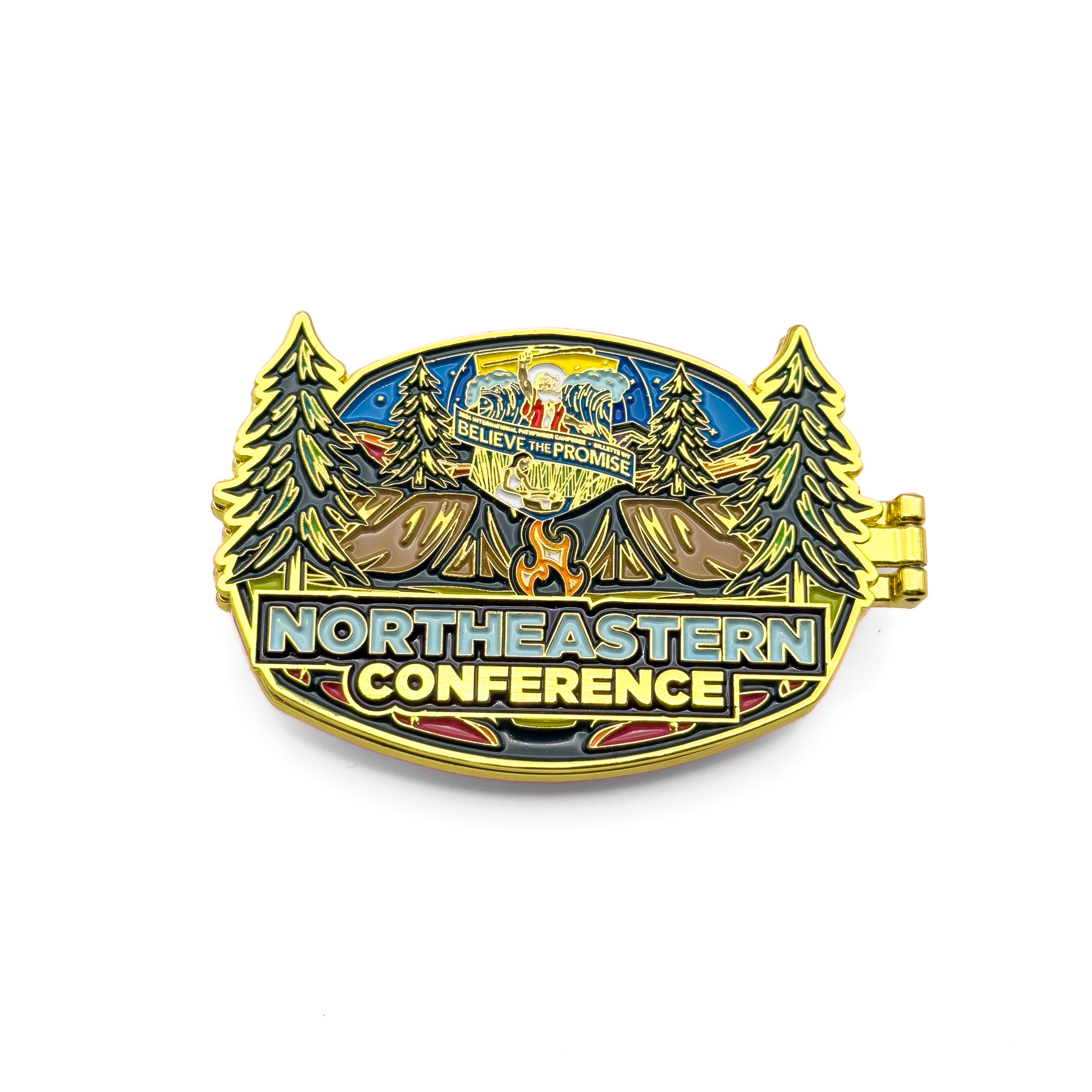 BTP Northeastern Conference Pin